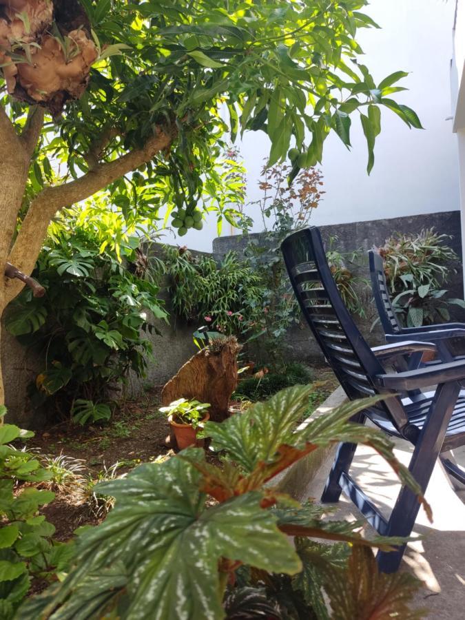 Casa Da Avo Rosa São Vicente Exterior foto