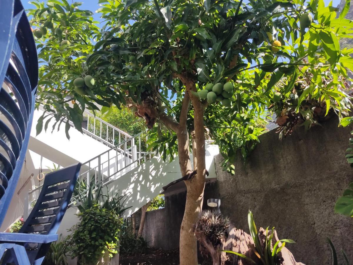 Casa Da Avo Rosa São Vicente Exterior foto