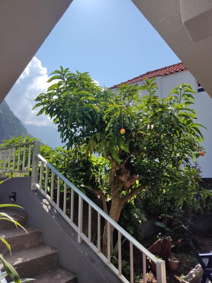 Casa Da Avo Rosa São Vicente Exterior foto