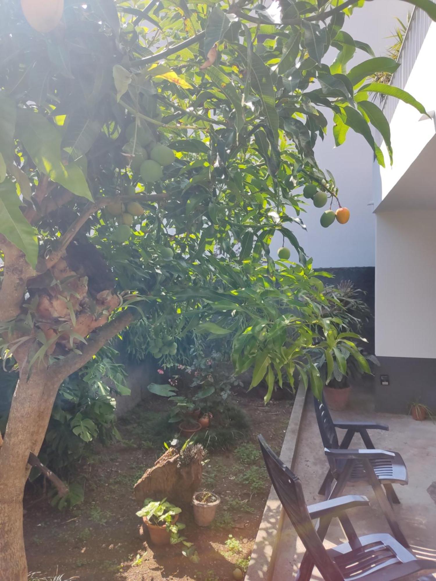 Casa Da Avo Rosa São Vicente Exterior foto